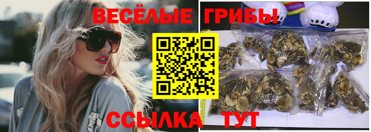 Дзержинск  Галлюциногенные грибы Cubensis  Псилоцибиновые грибы мухоморы  Вход с VPN 